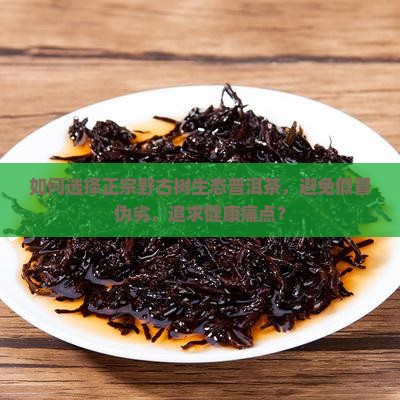 如何选择正宗野古树生态普洱茶，避免假冒伪劣，追求健康痛点？