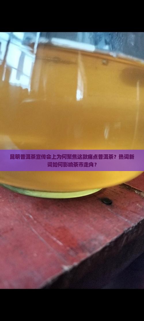 昆明普洱茶宣传会上为何聚焦这款痛点普洱茶？热词新词如何影响茶市走向？