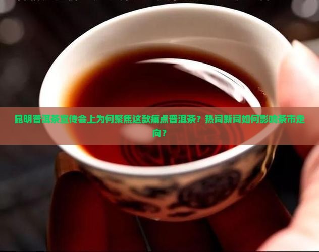 昆明普洱茶宣传会上为何聚焦这款痛点普洱茶？热词新词如何影响茶市走向？