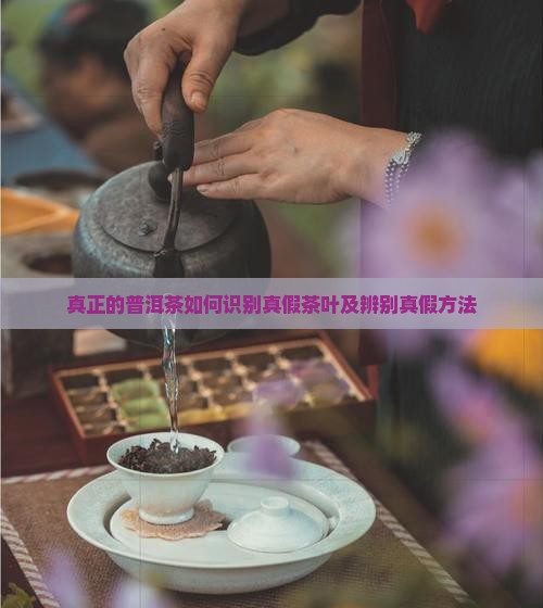真正的普洱茶如何识别真假茶叶及辨别真假方法