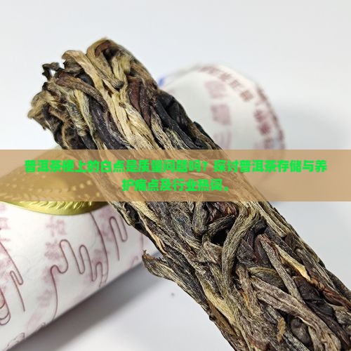 普洱茶梗上的白点是质量问题吗？探讨普洱茶存储与养护痛点及行业热词。
