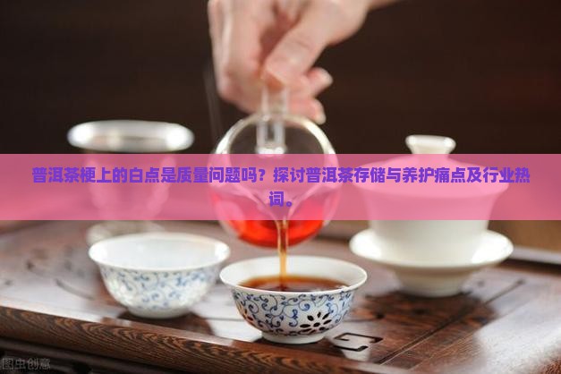 普洱茶梗上的白点是质量问题吗？探讨普洱茶存储与养护痛点及行业热词。