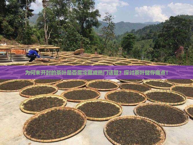 为何未开封的茶叶是否需冷藏成热门话题？探讨茶叶储存痛点！