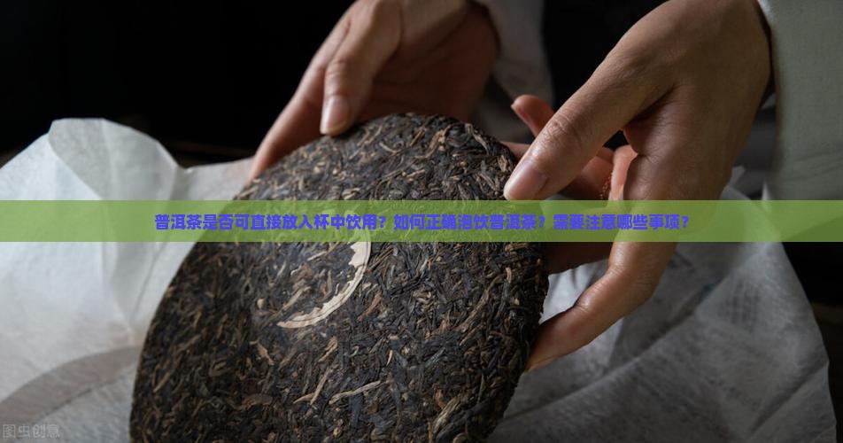 普洱茶是否可直接放入杯中饮用？如何正确泡饮普洱茶？需要注意哪些事项？