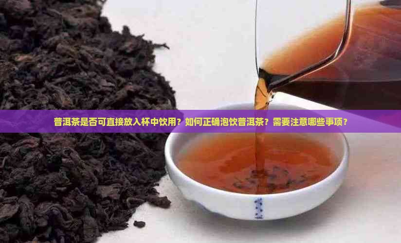 普洱茶是否可直接放入杯中饮用？如何正确泡饮普洱茶？需要注意哪些事项？