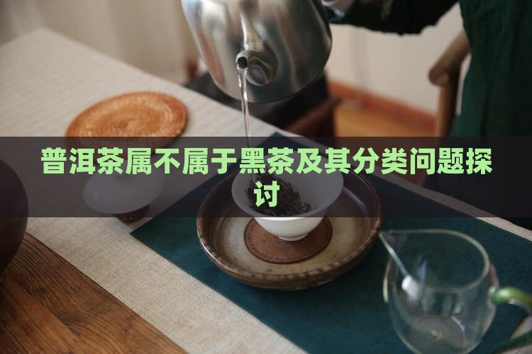 普洱茶属不属于黑茶及其分类问题探讨
