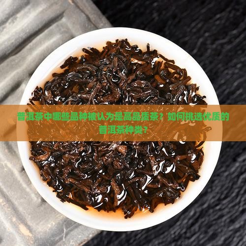 普洱茶中哪些品种被认为是高品质茶？如何挑选优质的普洱茶种类？