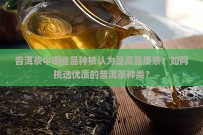 普洱茶中哪些品种被认为是高品质茶？如何挑选优质的普洱茶种类？
