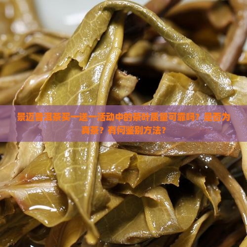 景迈普洱茶买一送一活动中的茶叶质量可靠吗？是否为真茶？有何鉴别方法？