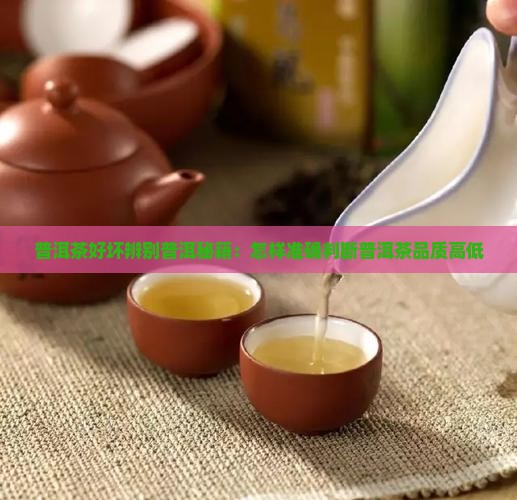 普洱茶好坏辨别普洱秘籍：怎样准确判断普洱茶品质高低