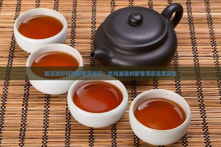 普洱茶好坏辨别普洱秘籍：怎样准确判断普洱茶品质高低