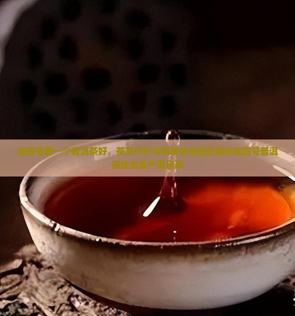 龙园号哪一个普洱茶好，茶友评价与网友亲身经历解析龙园号普洱茶优劣及产品目录