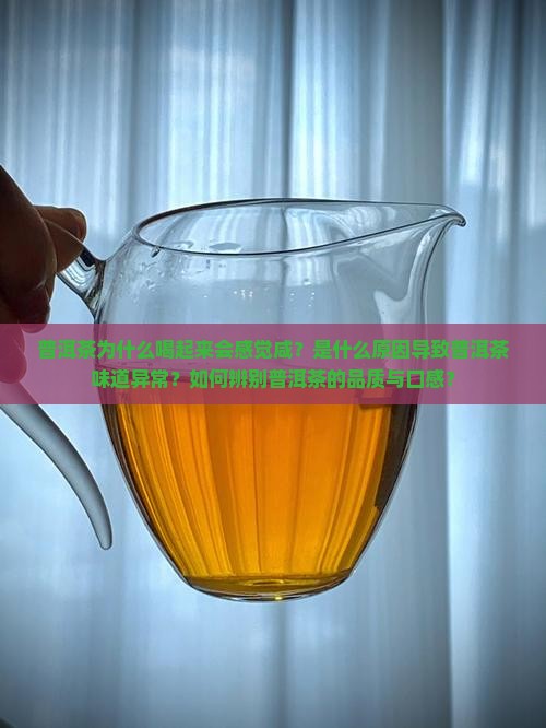 普洱茶为什么喝起来会感觉咸？是什么原因导致普洱茶味道异常？如何辨别普洱茶的品质与口感？