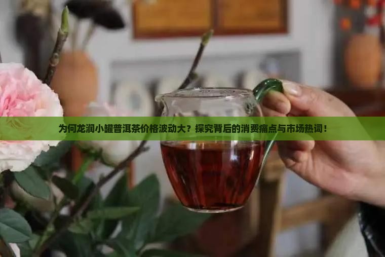 为何龙润小罐普洱茶价格波动大？探究背后的消费痛点与市场热词！