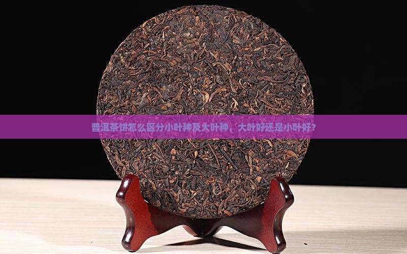 普洱茶饼怎么区分小叶种及大叶种，大叶好还是小叶好？