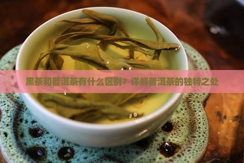 黑茶和普洱茶有什么区别？详解普洱茶的独特之处