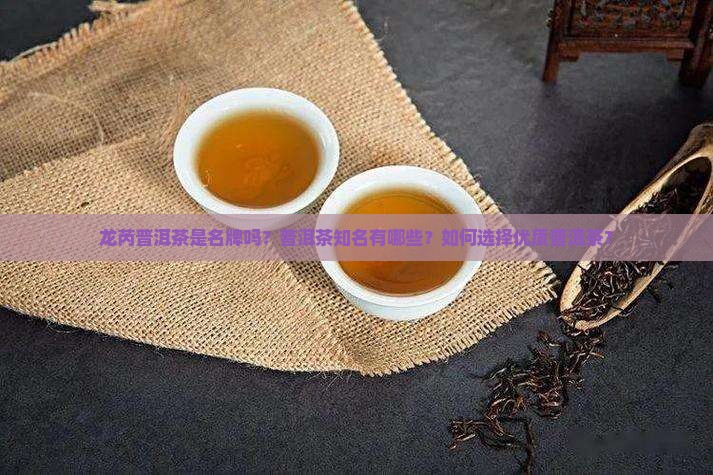 龙芮普洱茶是名牌吗？普洱茶知名有哪些？如何选择优质普洱茶？