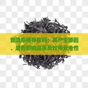 普洱茶梗存在吗：其产生原因、是否影响品质及饮用安全性探讨
