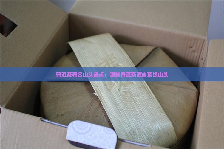 普洱茶著名山头盘点：哪些普洱茶源自顶级山头