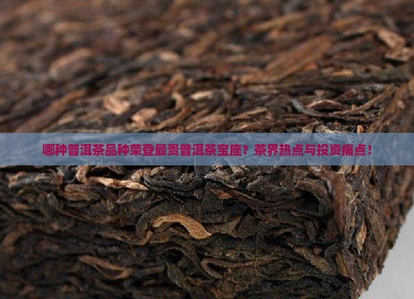 哪种普洱茶品种荣登最贵普洱茶宝座？茶界热点与投资痛点！