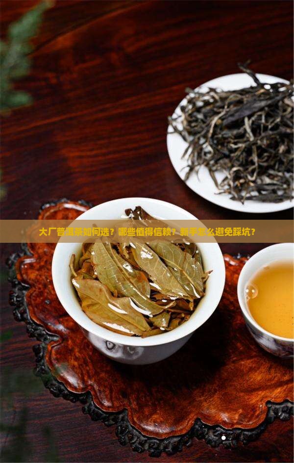 大厂普洱茶如何选？哪些值得信赖？新手怎么避免踩坑？