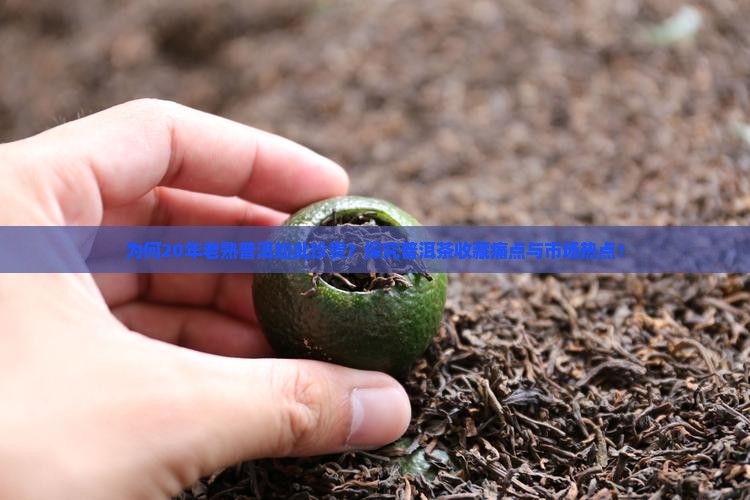 为何20年老熟普洱如此珍贵？探究普洱茶收藏痛点与市场热点！