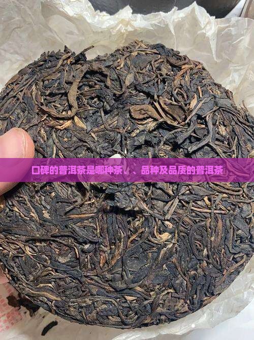 口碑的普洱茶是哪种茶、、品种及品质的普洱茶