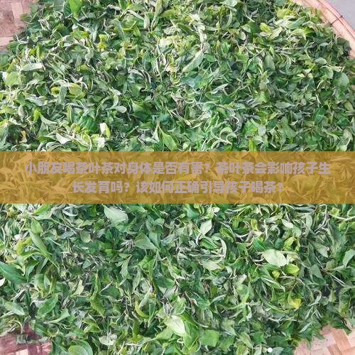 小朋友喝茶叶茶对身体是否有害？茶叶茶会影响孩子生长发育吗？该如何正确引导孩子喝茶？