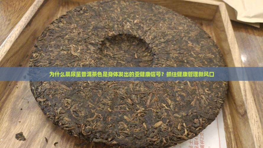为什么晨尿呈普洱茶色是身体发出的亚健康信号？抓住健康管理新风口