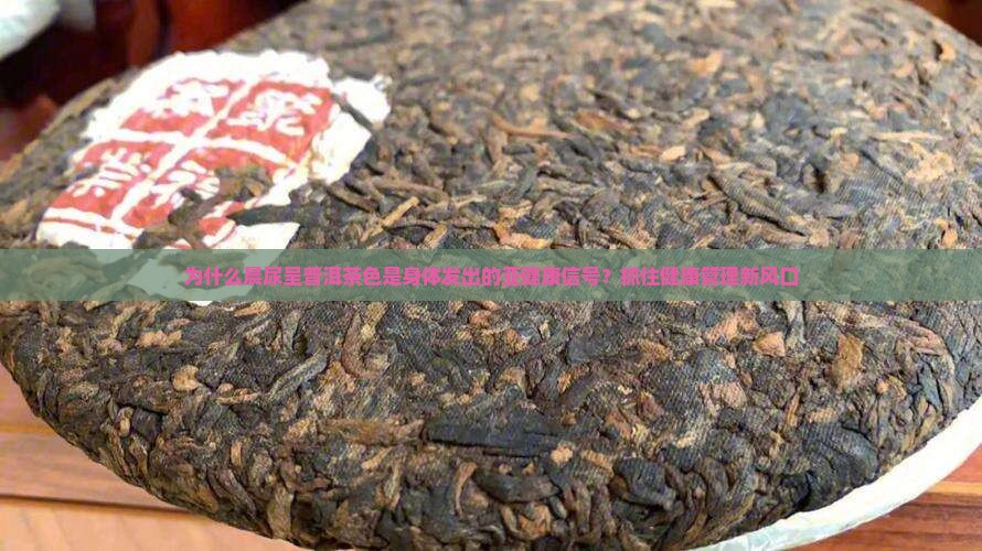 为什么晨尿呈普洱茶色是身体发出的亚健康信号？抓住健康管理新风口