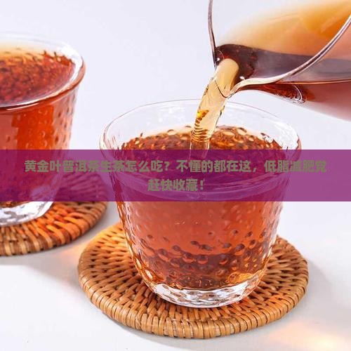 黄金叶普洱茶生茶怎么吃？不懂的都在这，低脂减肥党赶快收藏！