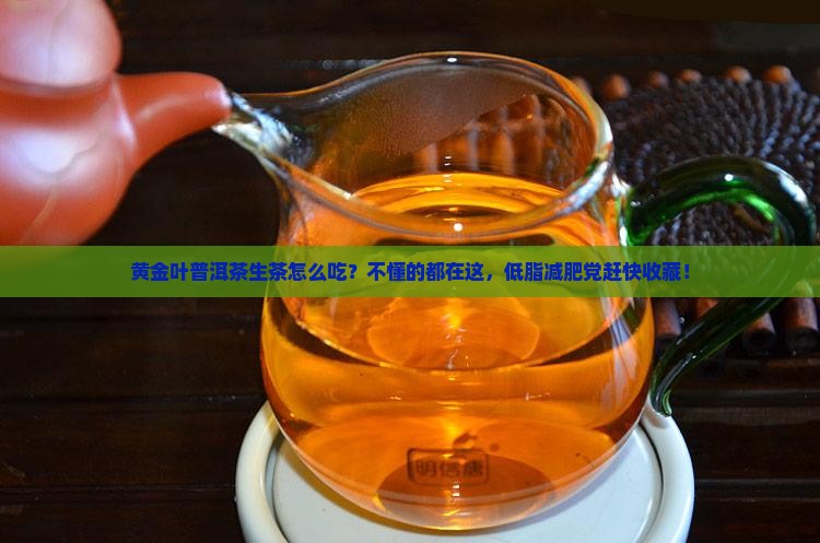 黄金叶普洱茶生茶怎么吃？不懂的都在这，低脂减肥党赶快收藏！