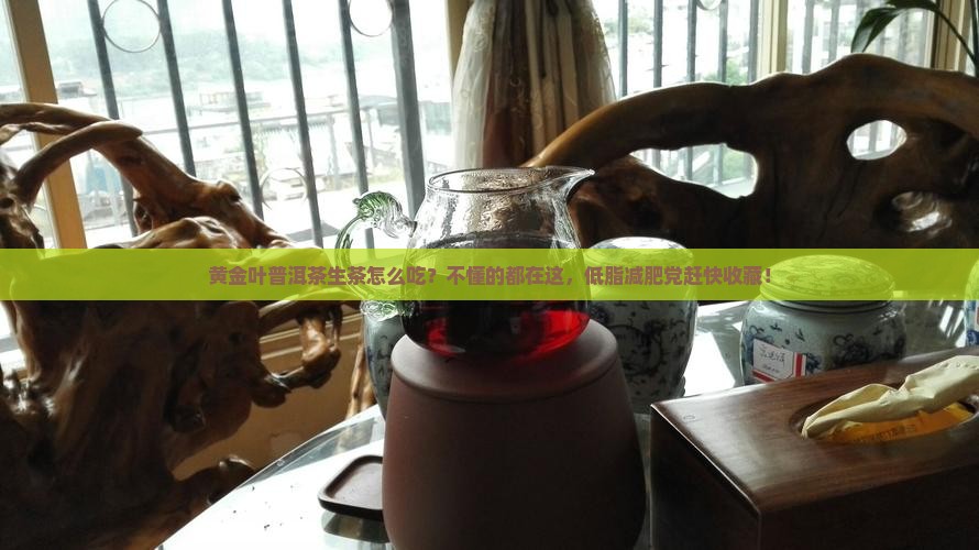 黄金叶普洱茶生茶怎么吃？不懂的都在这，低脂减肥党赶快收藏！