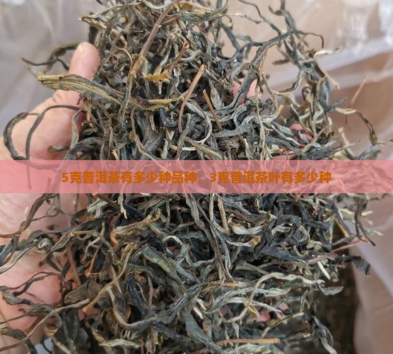 5克普洱茶有多少种品种，3克普洱茶叶有多少种