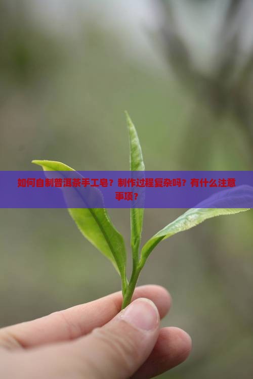 如何自制普洱茶手工皂？制作过程复杂吗？有什么注意事项？