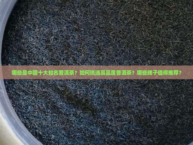 哪些是中国十大知名普洱茶？如何挑选高品质普洱茶？哪些牌子值得推荐？