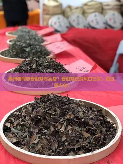 惠州老同志普洱茶专卖店？普洱茶投资风口已来，错过等十年！