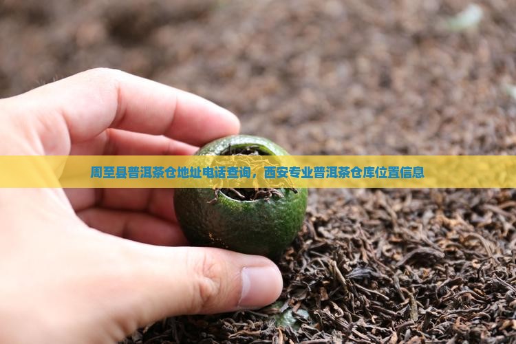 周至县普洱茶仓地址电话查询，西安专业普洱茶仓库位置信息
