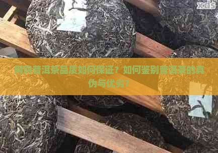 网购普洱茶品质如何保证？如何鉴别普洱茶的真伪与优劣？