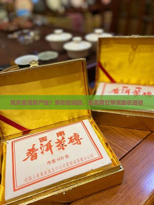 凤庆普洱茶产地？茶农愁销路，急需网红带货助农增收