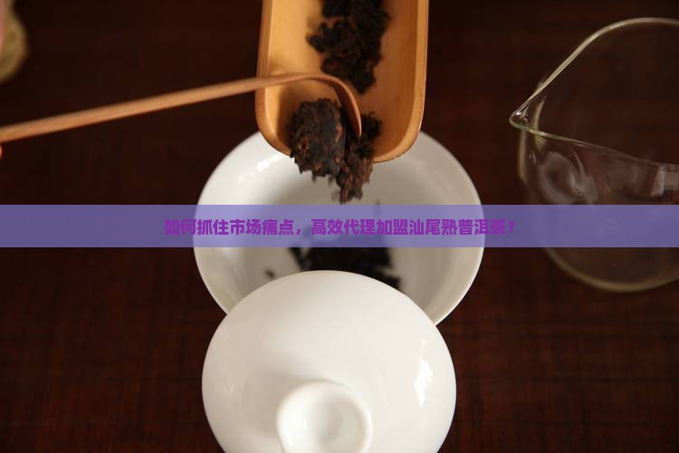 如何抓住市场痛点，高效代理加盟汕尾熟普洱茶？