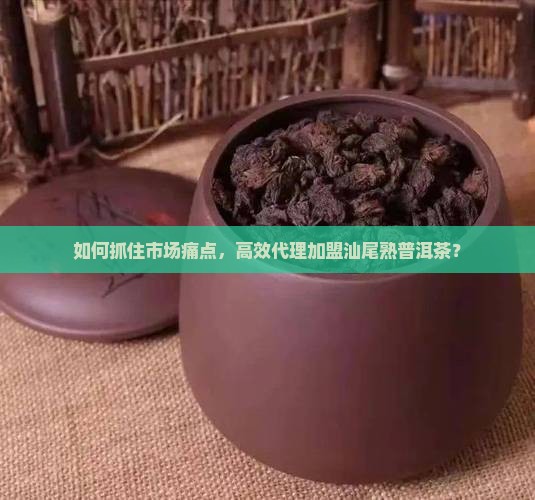 如何抓住市场痛点，高效代理加盟汕尾熟普洱茶？