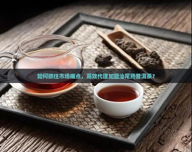 如何抓住市场痛点，高效代理加盟汕尾熟普洱茶？