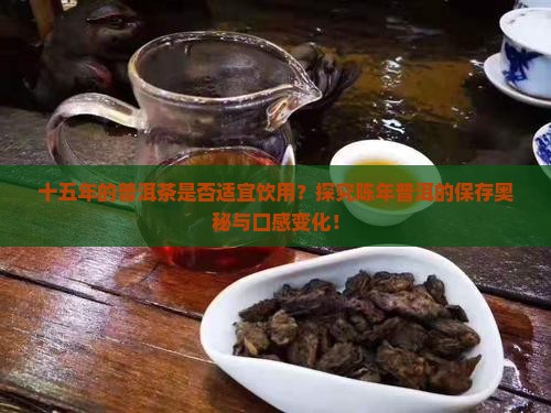 十五年的普洱茶是否适宜饮用？探究陈年普洱的保存奥秘与口感变化！