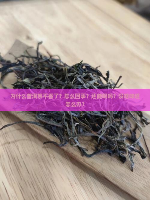 为什么普洱茶不香了？怎么回事？还能喝吗？没啥味道怎么办？