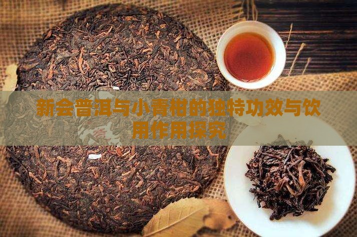 新会普洱与小青柑的独特功效与饮用作用探究