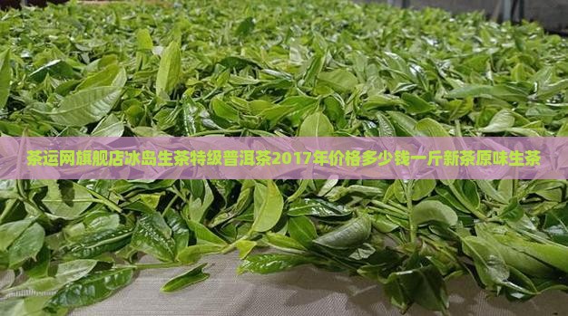 茶运网旗舰店冰岛生茶特级普洱茶2017年价格多少钱一斤新茶原味生茶