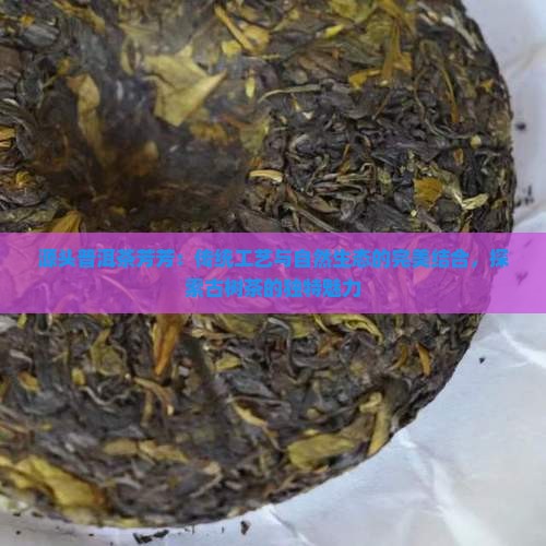 源头普洱茶芳芳：传统工艺与自然生态的完美结合，探索古树茶的独特魅力
