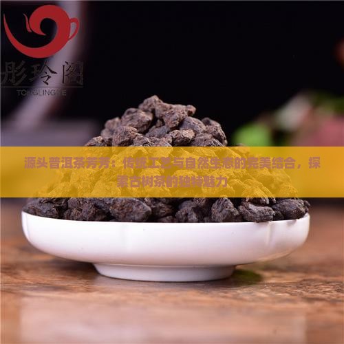源头普洱茶芳芳：传统工艺与自然生态的完美结合，探索古树茶的独特魅力