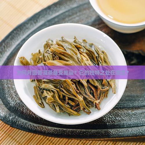 为何月圆普洱茶备受推崇？它的独特之处在哪里？
